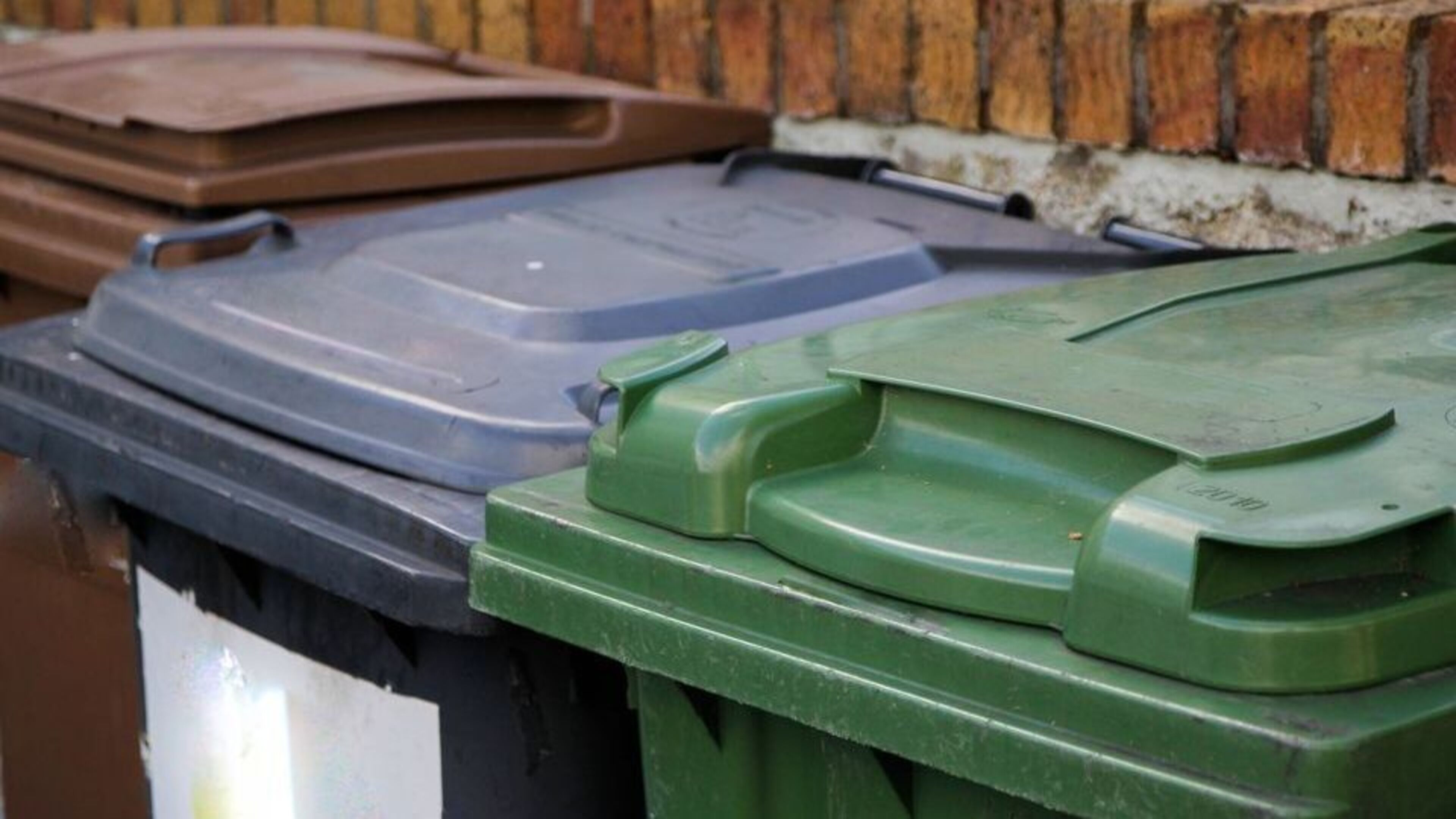 Waste management company leaves ‘sour taste’ in rural Wexford as residents asked to bring bins to ‘a meet point’
